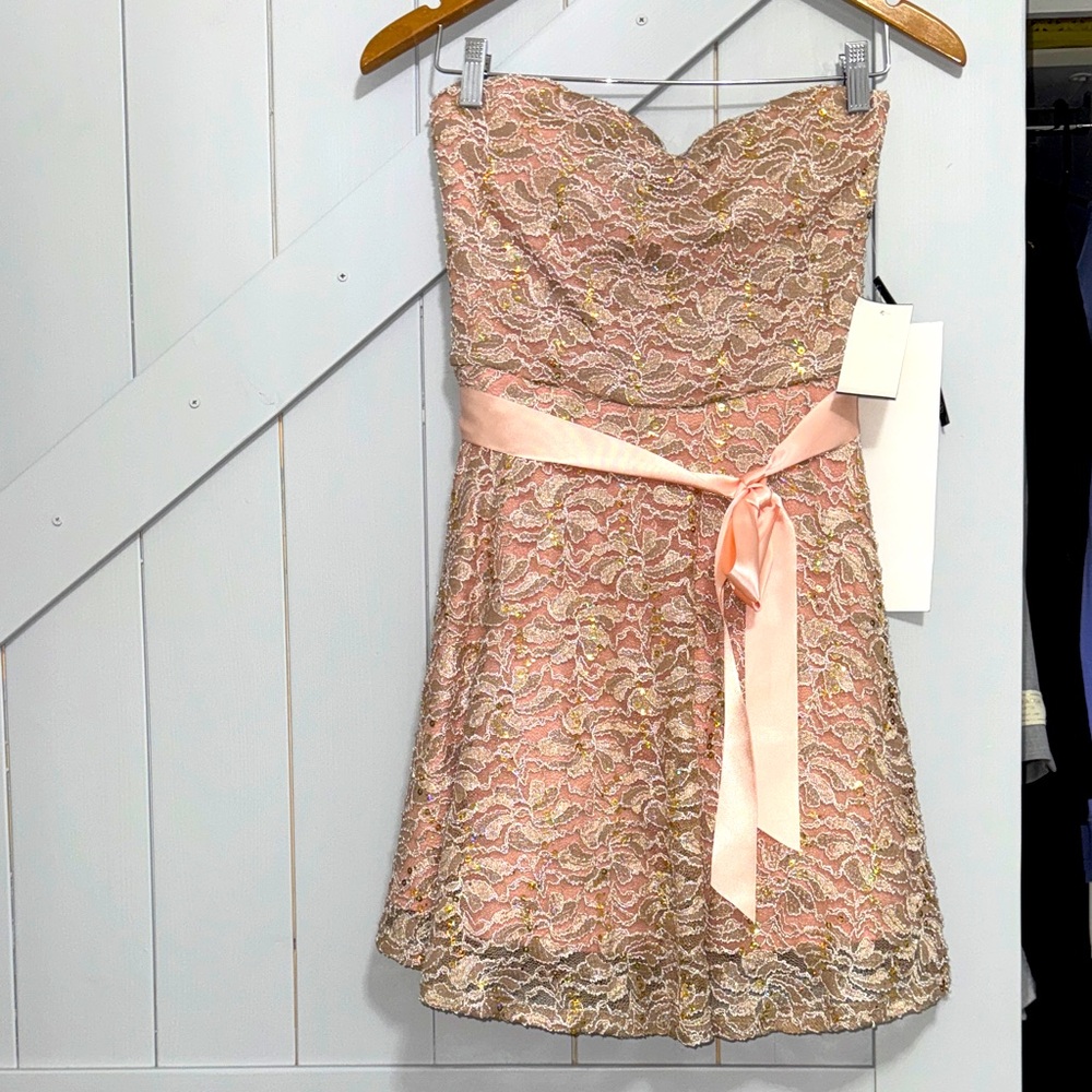 Strapless Nude Pink Lace Dress with Ribbon NWT Size M